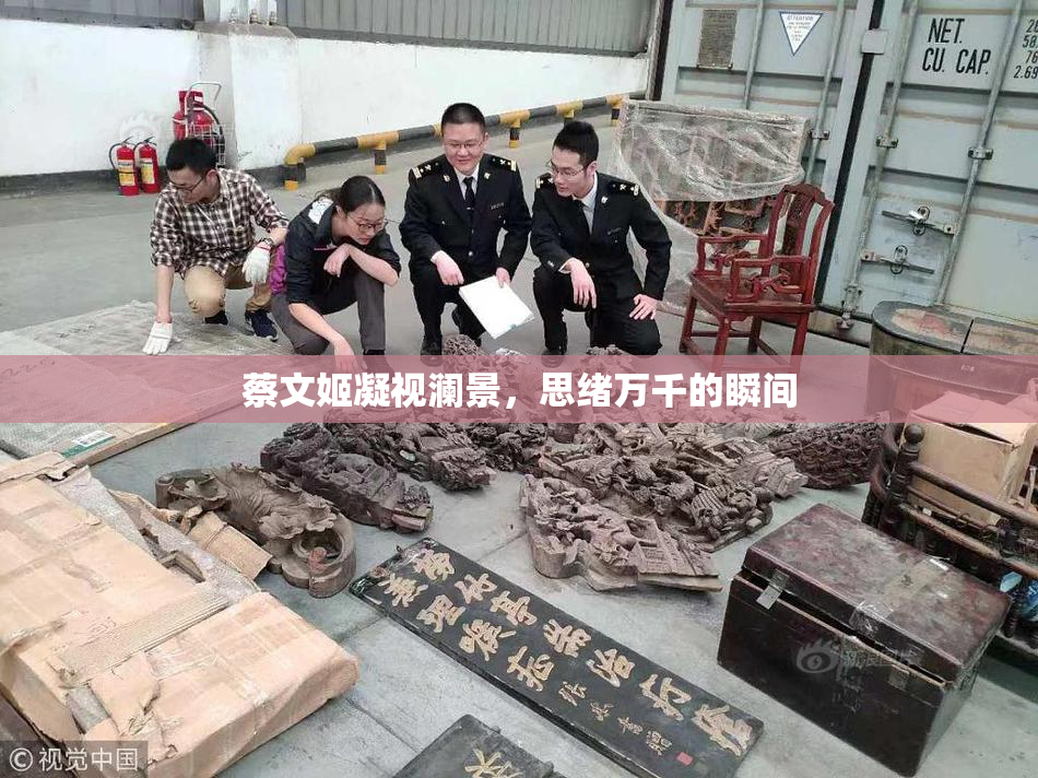 蔡文姬凝视澜景，思绪万千的瞬间