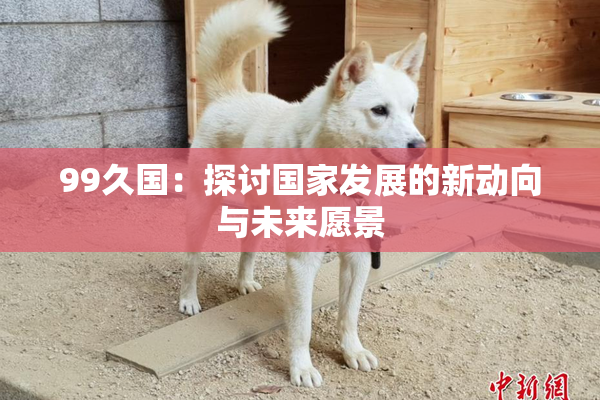 99久国：探讨国家发展的新动向与未来愿景