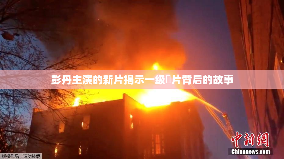 彭丹主演的新片揭示一级婬片背后的故事