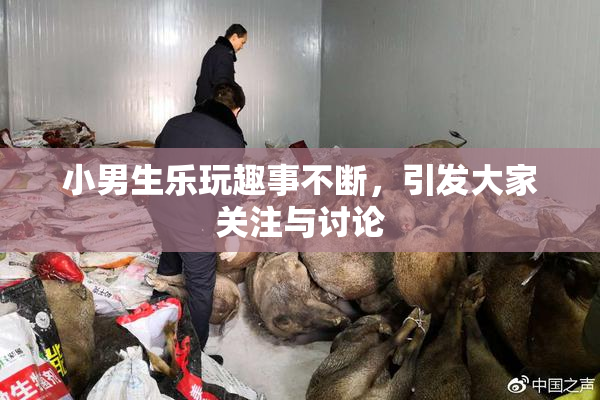 小男生乐玩趣事不断，引发大家关注与讨论