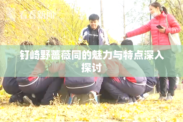 钉崎野蔷薇同的魅力与特点深入探讨