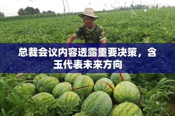 总裁会议内容透露重要决策，含玉代表未来方向