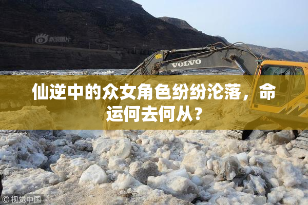 仙逆中的众女角色纷纷沦落，命运何去何从？