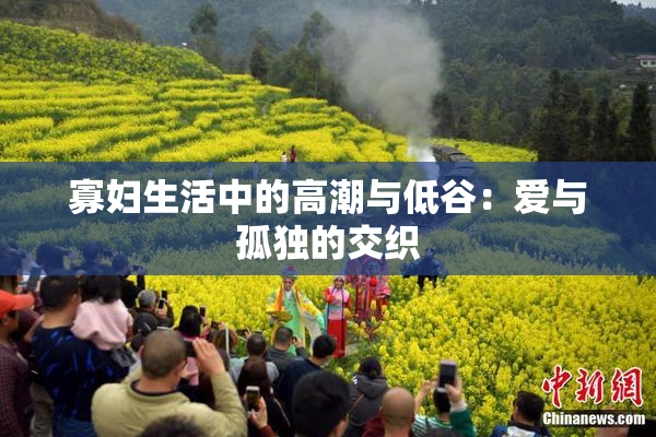 寡妇生活中的高潮与低谷：爱与孤独的交织