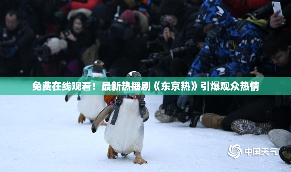 免费在线观看！最新热播剧《东京热》引爆观众热情