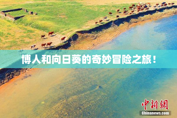 博人和向日葵的奇妙冒险之旅！