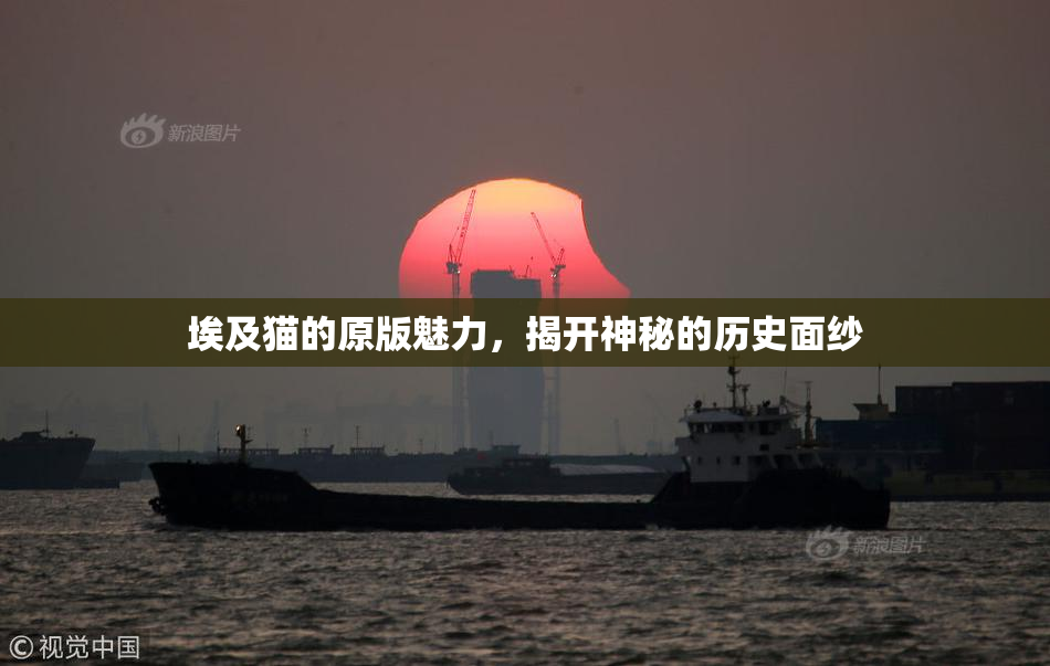 埃及猫的原版魅力，揭开神秘的历史面纱