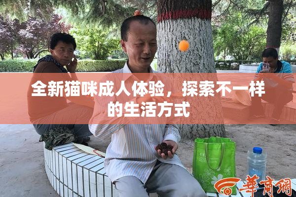 全新猫咪成人体验，探索不一样的生活方式