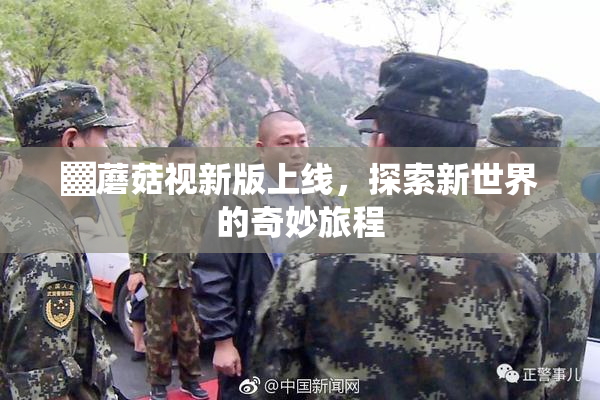 ▓蘑菇视新版上线，探索新世界的奇妙旅程