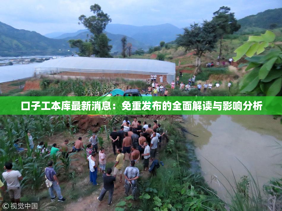 口子工本库最新消息：免重发布的全面解读与影响分析