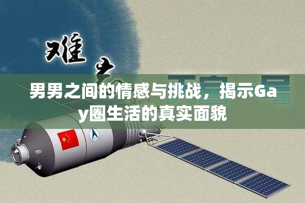 男男之间的情感与挑战，揭示Gay圈生活的真实面貌