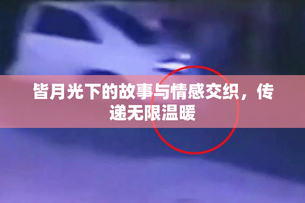 皆月光下的故事与情感交织，传递无限温暖