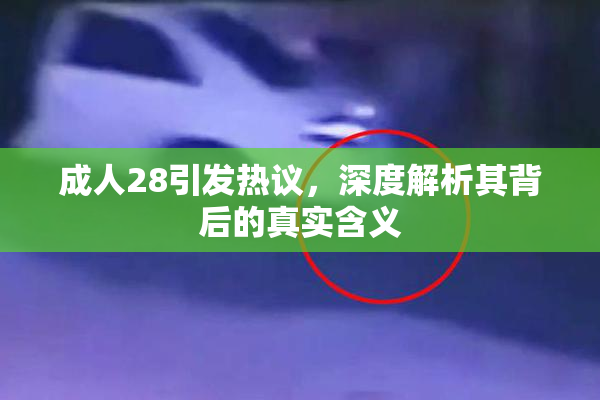 成人28引发热议，深度解析其背后的真实含义