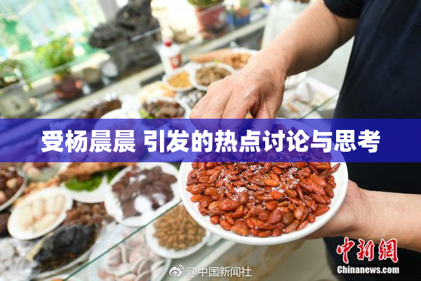 受杨晨晨 引发的热点讨论与思考