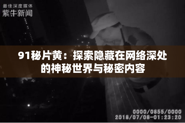 91秘片黄：探索隐藏在网络深处的神秘世界与秘密内容