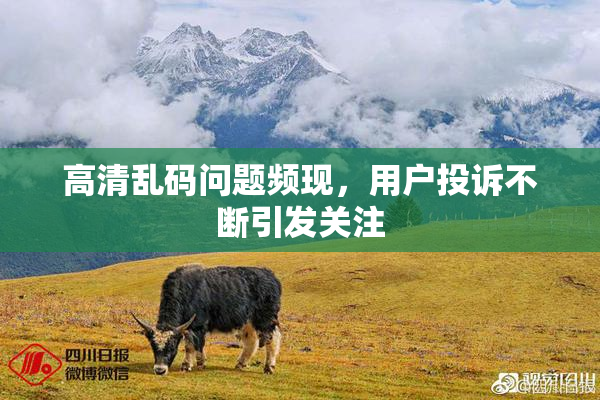 高清乱码问题频现，用户投诉不断引发关注