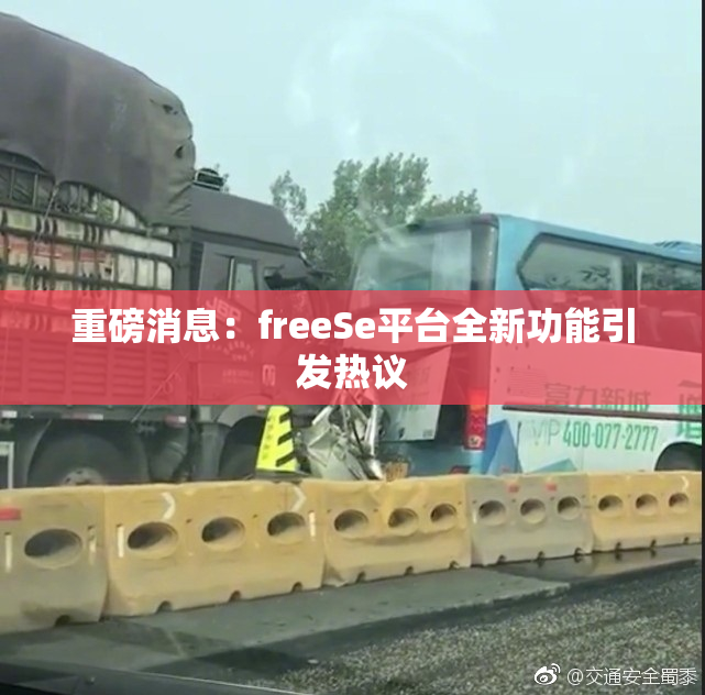 重磅消息：freeSe平台全新功能引发热议