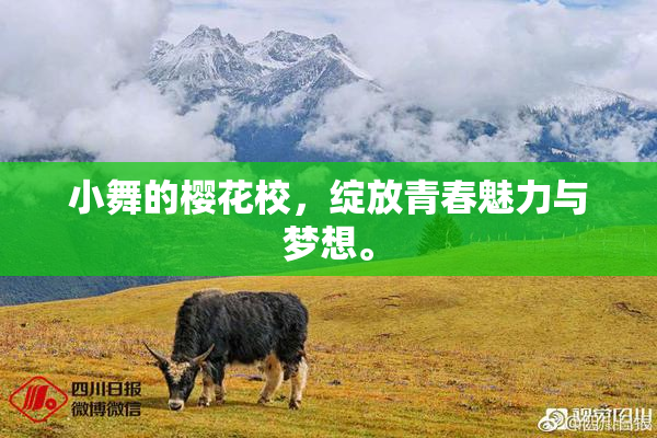 小舞的樱花校，绽放青春魅力与梦想。