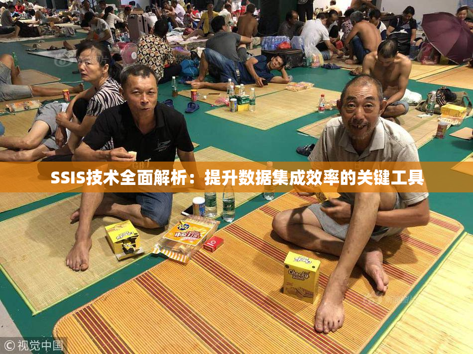 SSIS技术全面解析：提升数据集成效率的关键工具