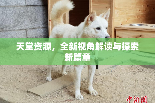 天堂资源，全新视角解读与探索新篇章