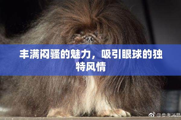 丰满闷骚的魅力，吸引眼球的独特风情