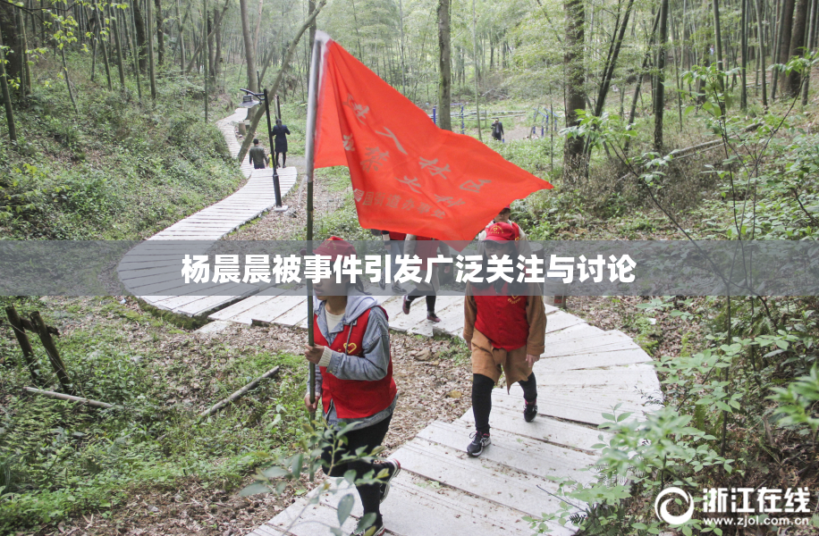 杨晨晨被事件引发广泛关注与讨论