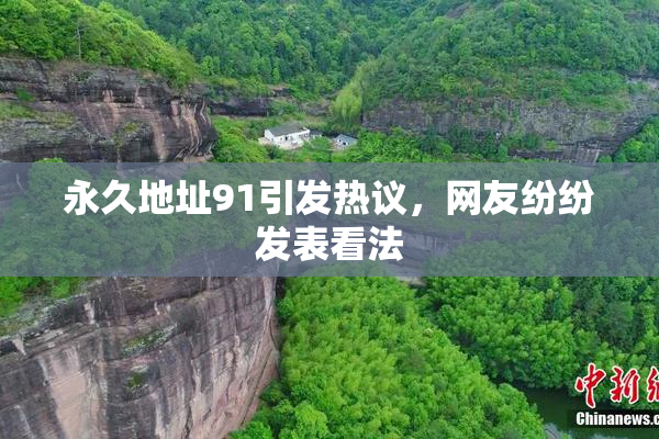 永久地址91引发热议，网友纷纷发表看法