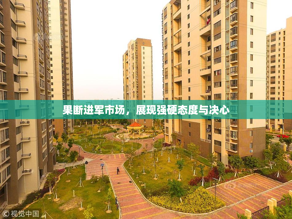 果断进军市场，展现强硬态度与决心