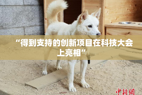 “得到支持的创新项目在科技大会上亮相”