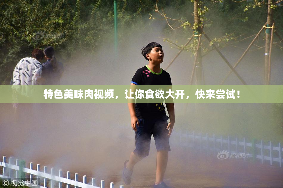 特色美味肉视频，让你食欲大开，快来尝试！