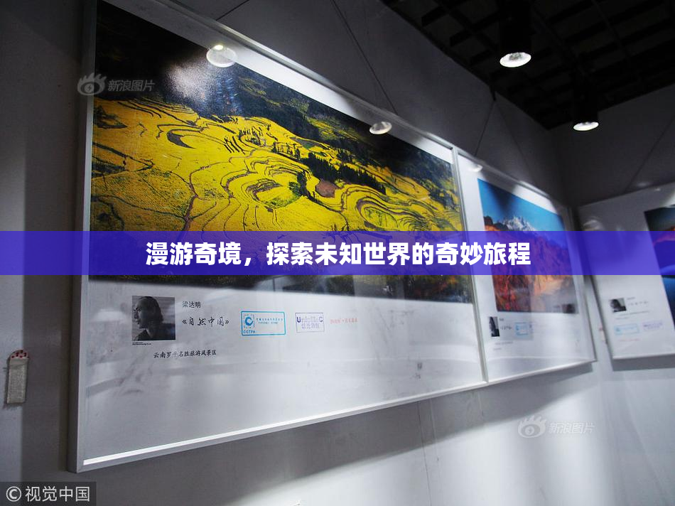 漫游奇境，探索未知世界的奇妙旅程