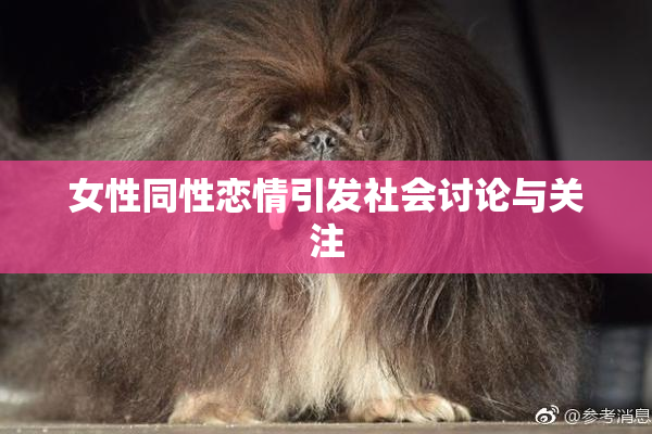 女性同性恋情引发社会讨论与关注