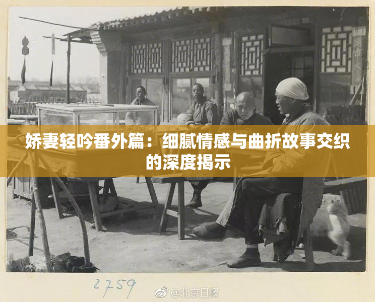 娇妻轻吟番外篇：细腻情感与曲折故事交织的深度揭示
