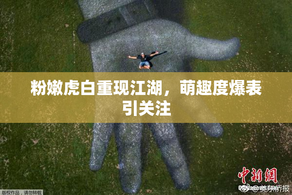 粉嫩虎白重现江湖，萌趣度爆表引关注