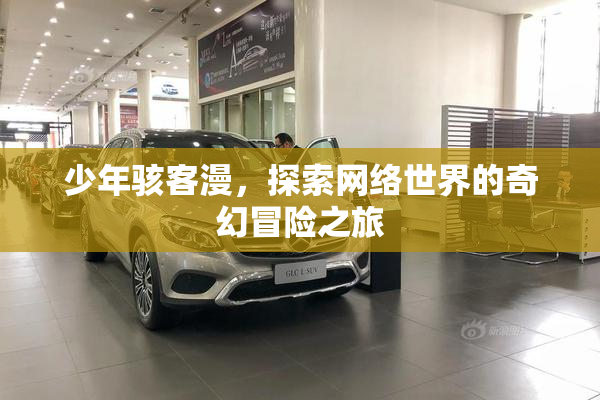 少年骇客漫，探索网络世界的奇幻冒险之旅
