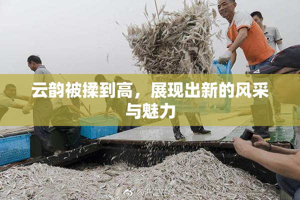 云韵被揉到高，展现出新的风采与魅力