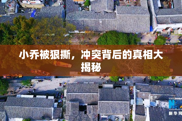 小乔被狠撕，冲突背后的真相大揭秘