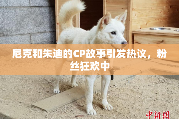 尼克和朱迪的CP故事引发热议，粉丝狂欢中