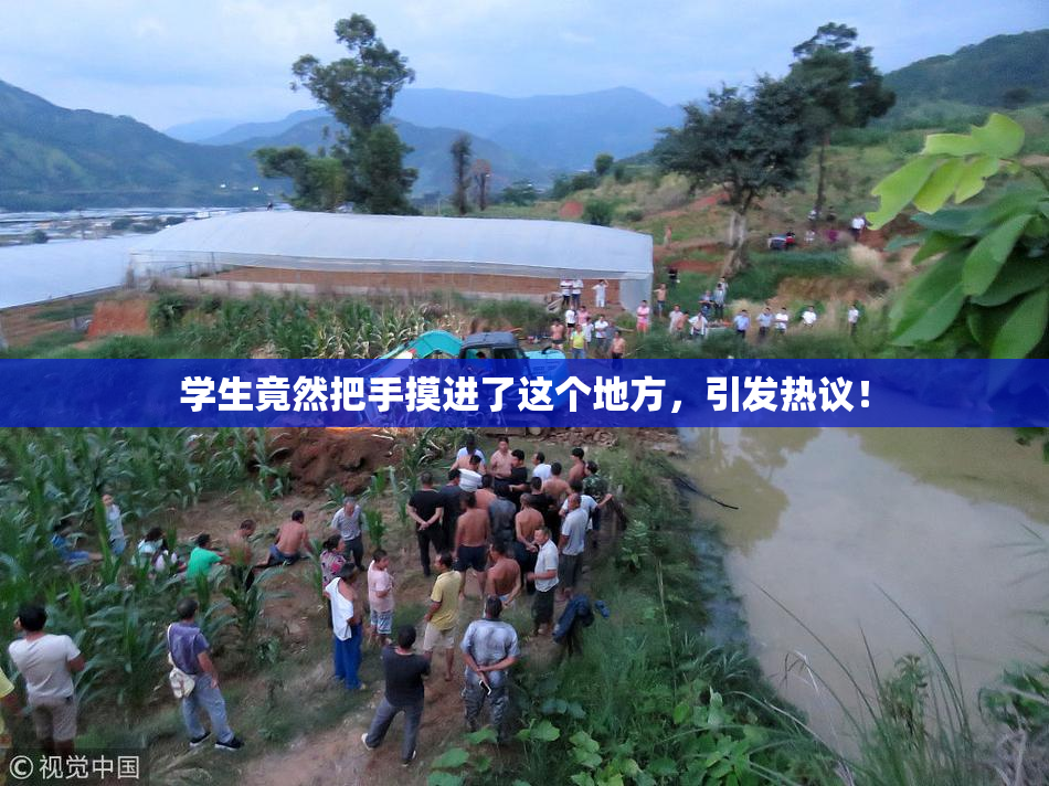 学生竟然把手摸进了这个地方，引发热议！
