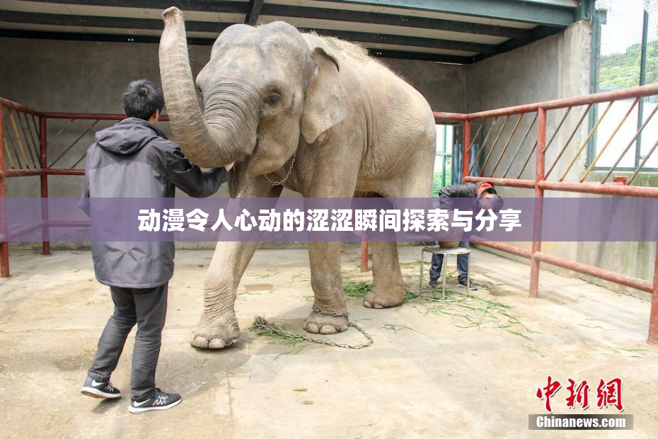 动漫令人心动的涩涩瞬间探索与分享