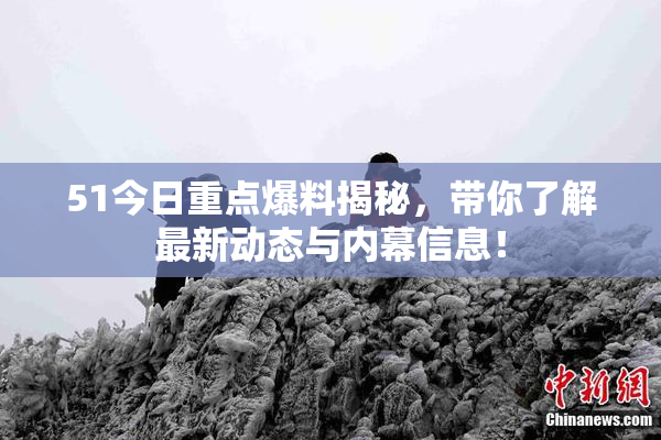 51今日重点爆料揭秘，带你了解最新动态与内幕信息！