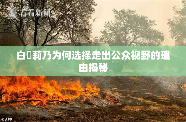 白咲莉乃为何选择走出公众视野的理由揭秘