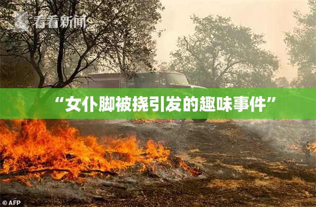 “女仆脚被挠引发的趣味事件”