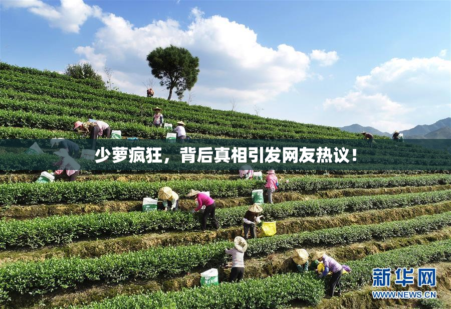 少萝疯狂，背后真相引发网友热议！