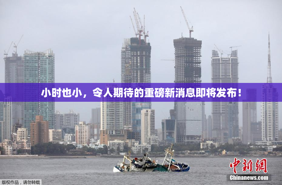 小时也小，令人期待的重磅新消息即将发布！