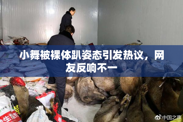 小舞被裸体趴姿态引发热议，网友反响不一