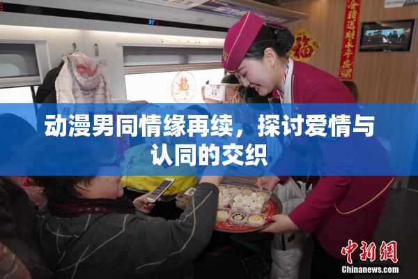 动漫男同情缘再续，探讨爱情与认同的交织