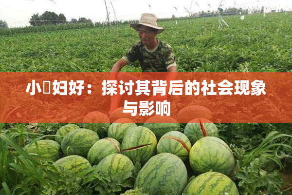 小婬妇好：探讨其背后的社会现象与影响