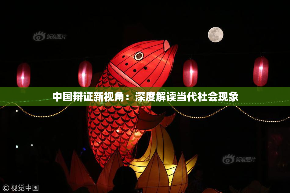 中国辩证新视角：深度解读当代社会现象