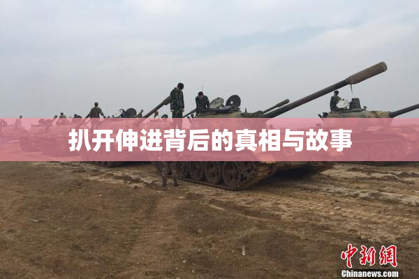 扒开伸进背后的真相与故事
